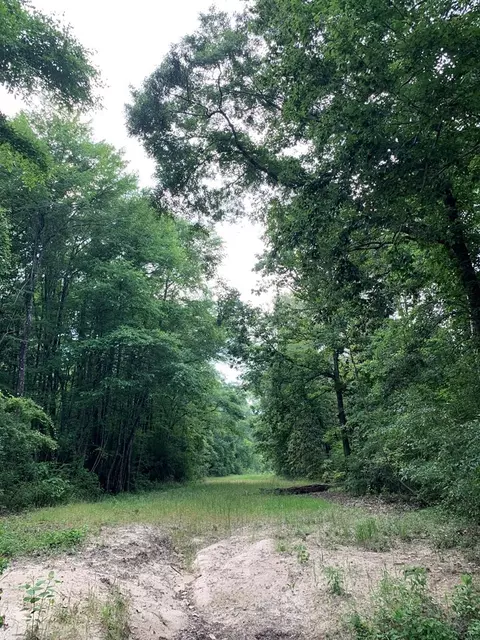 . Pickwick Road, Foxworth, MS 39483 photo 38