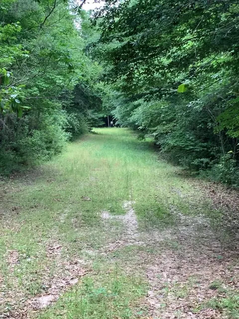 . Pickwick Road, Foxworth, MS 39483 photo 61