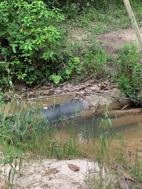 . Pickwick Road, Foxworth, MS 39483 photo 37