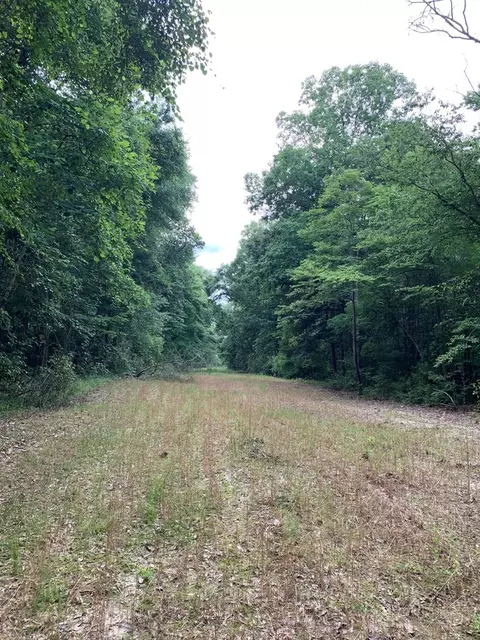 . Pickwick Road, Foxworth, MS 39483 photo 33