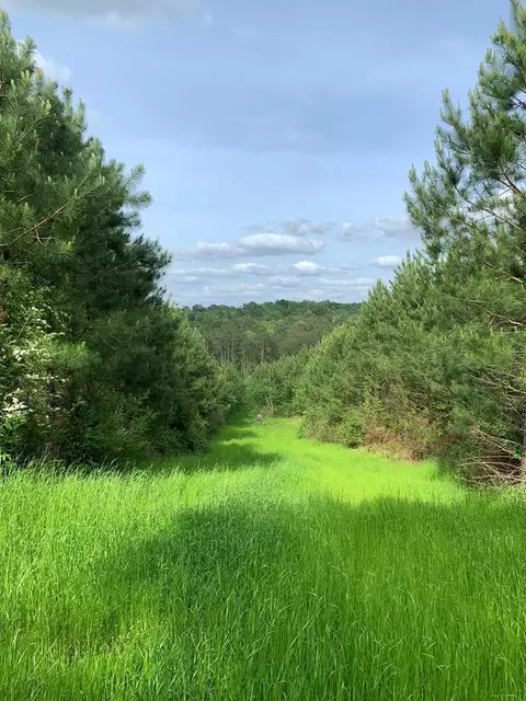 . Macedonia Road, Centreville, MS 39631