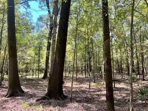 tbd E Levee Rd, MS photo 22