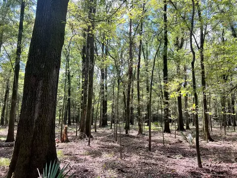 tbd E Levee Rd, MS photo 17