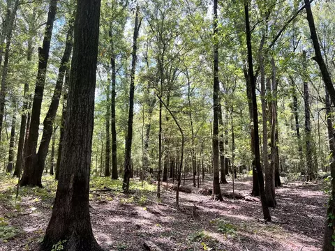 tbd E Levee Rd, MS photo 11