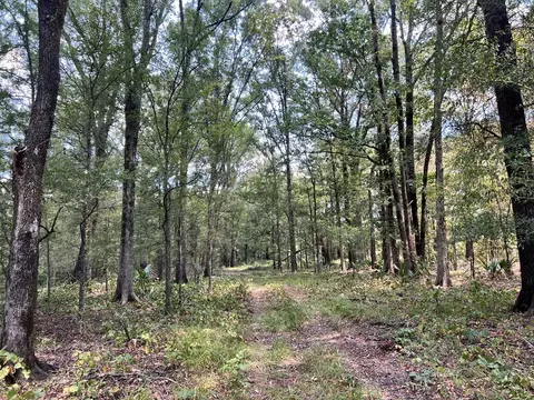 tbd E Levee Rd, MS photo 25