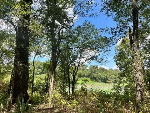 tbd E Levee Rd, MS photo 6
