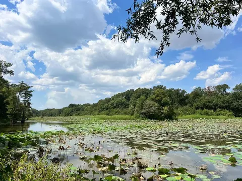 tbd E Levee Rd, MS