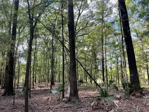 tbd E Levee Rd, MS photo 16