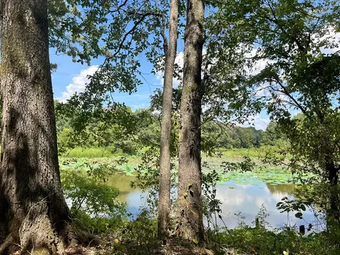 tbd E Levee Rd, MS photo 8