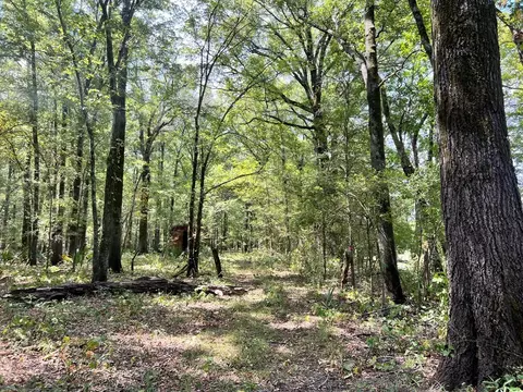 tbd E Levee Rd, MS photo 10
