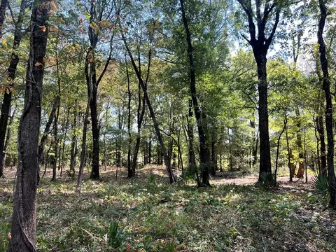 tbd E Levee Rd, MS photo 24