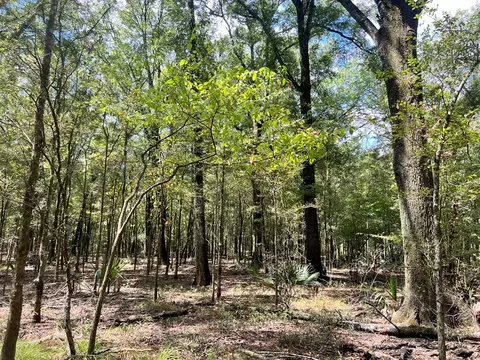 tbd E Levee Rd, MS photo 21