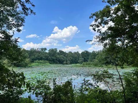 tbd E Levee Rd, MS photo 26