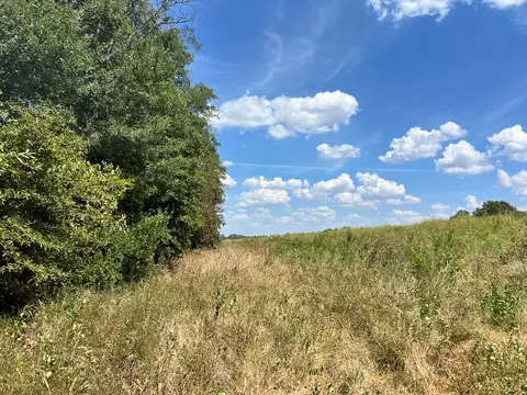 tbd E Levee Rd, MS photo 27