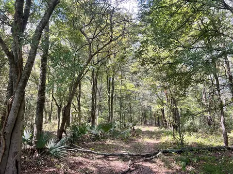 tbd E Levee Rd, MS photo 2