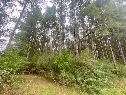 0 Airline H Way, Tylertown, MS 39667