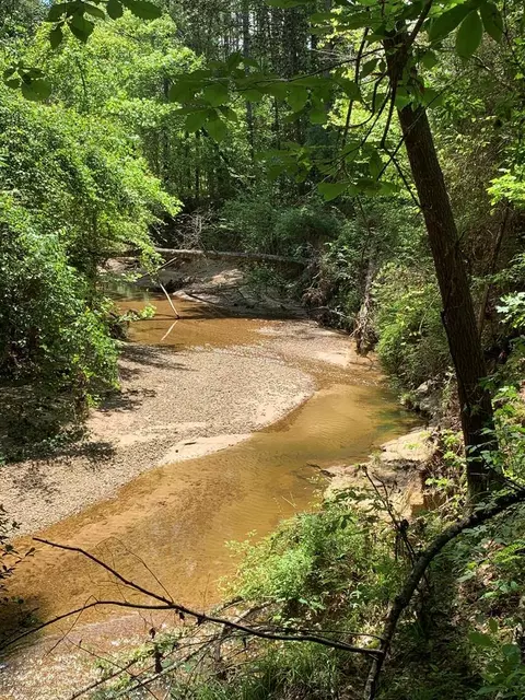 . Burt Jordan Rd/felix Mccall Road, Mccall Creek, MS 39647