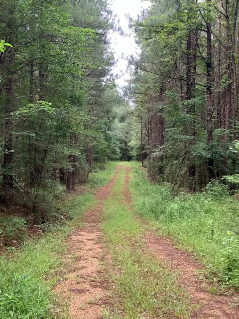 . Perrytown Road, Crosby, MS 39633 photo 9