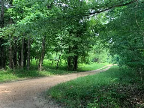 . Perrytown Road, Crosby, MS 39633 photo 15