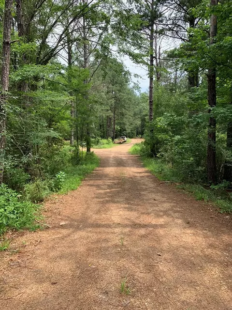 . Perrytown Road, Crosby, MS 39633 photo 37