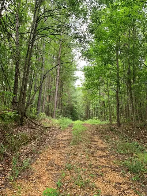 . Perrytown Road, Crosby, MS 39633 photo 8