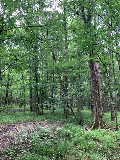 . Perrytown Road, Crosby, MS 39633 photo 33