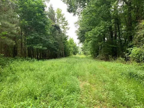 . Perrytown Road, Crosby, MS 39633 photo 7