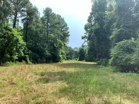 . Perrytown Road, Crosby, MS 39633 photo 14