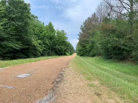 . Perrytown Road, Crosby, MS 39633 photo 35