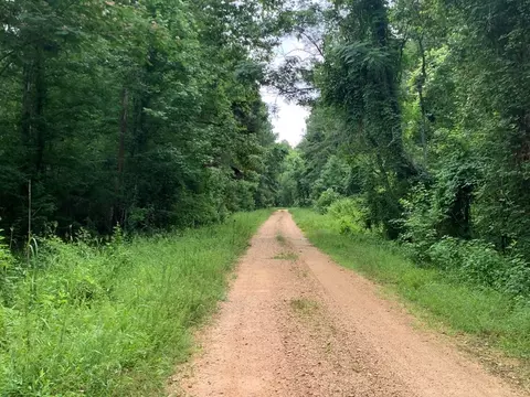 . Perrytown Road, Crosby, MS 39633 photo 6