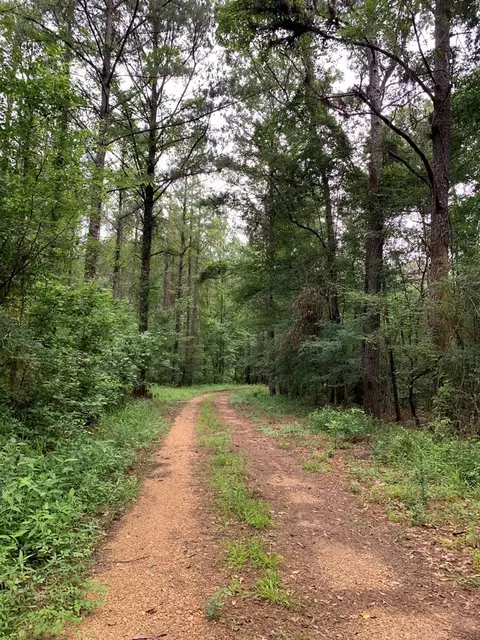 . Perrytown Road, Crosby, MS 39633 photo 28