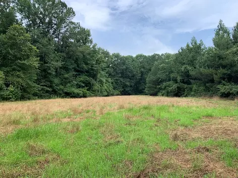 . Perrytown Road, Crosby, MS 39633 photo 32