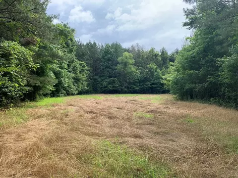 . Perrytown Road, Crosby, MS 39633 photo 10
