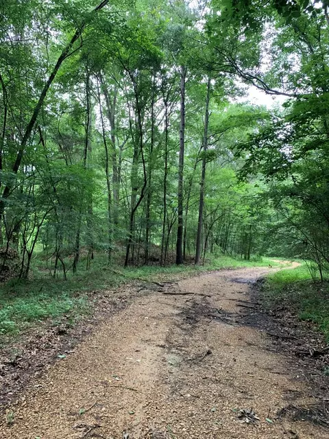 . Perrytown Road, Crosby, MS 39633 photo 29