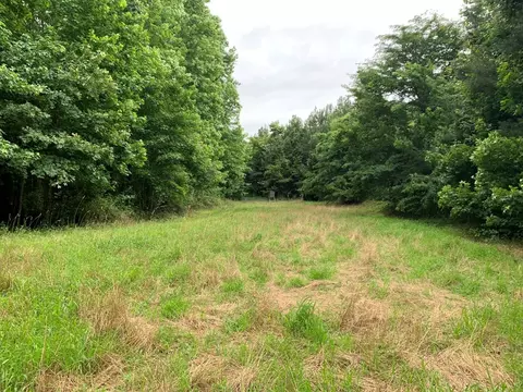 . Perrytown Road, Crosby, MS 39633 photo 26