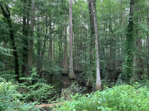 . Perrytown Road, Crosby, MS 39633 photo 5