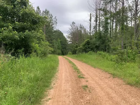. Perrytown Road, Crosby, MS 39633 photo 3