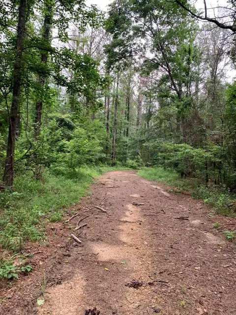. Perrytown Road, Crosby, MS 39633 photo 27