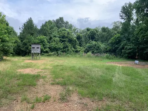. Perrytown Road, Crosby, MS 39633 photo 17