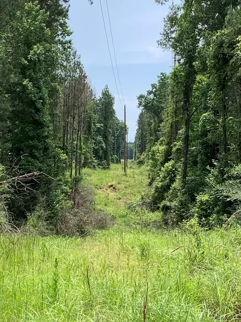 . Perrytown Road, Crosby, MS 39633 photo 38
