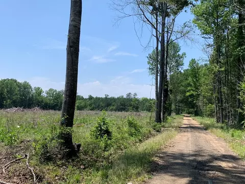 . Shelton Weeks Road, Pattison, MS 39144 photo 2