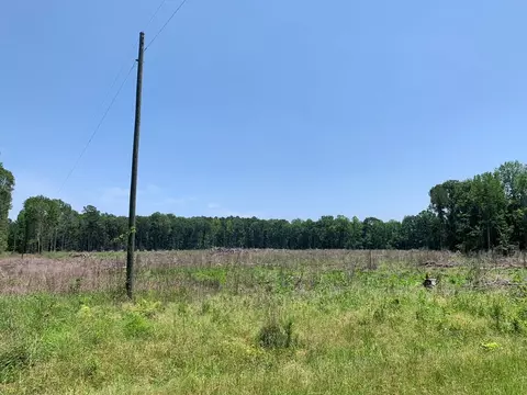 . Shelton Weeks Road, Pattison, MS 39144 photo 3