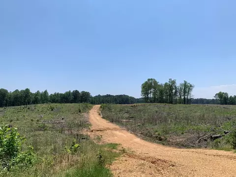 . Shelton Weeks Road, Pattison, MS 39144 photo 4