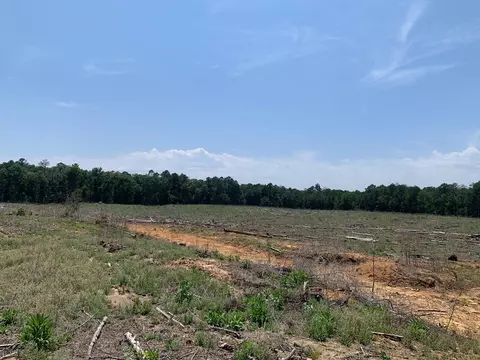 . Shelton Weeks Road, Pattison, MS 39144 photo 11