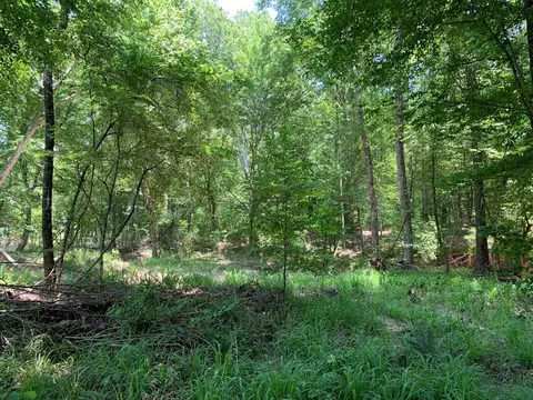 . Shelton Weeks Road, Pattison, MS 39144 photo 13