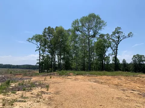 . Shelton Weeks Road, Pattison, MS 39144 photo 5