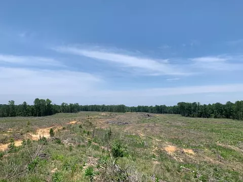 . Shelton Weeks Road, Pattison, MS 39144 photo 9