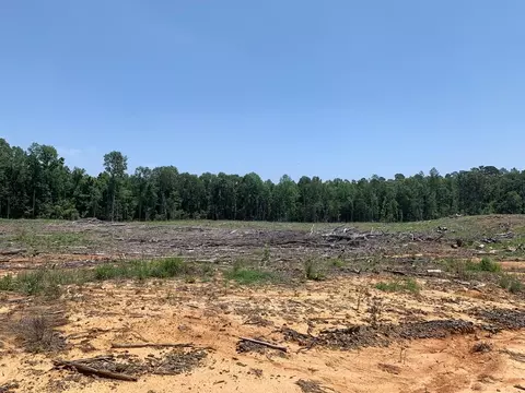 . Shelton Weeks Road, Pattison, MS 39144 photo 6