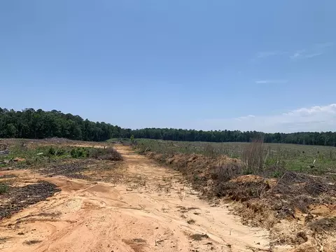 . Shelton Weeks Road, Pattison, MS 39144 photo 7