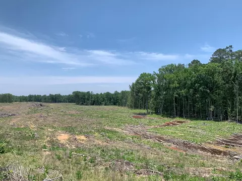 . Shelton Weeks Road, Pattison, MS 39144 photo 10